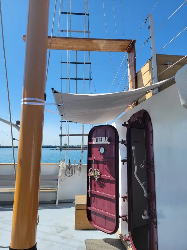 Tall Ship Windy - Chicago